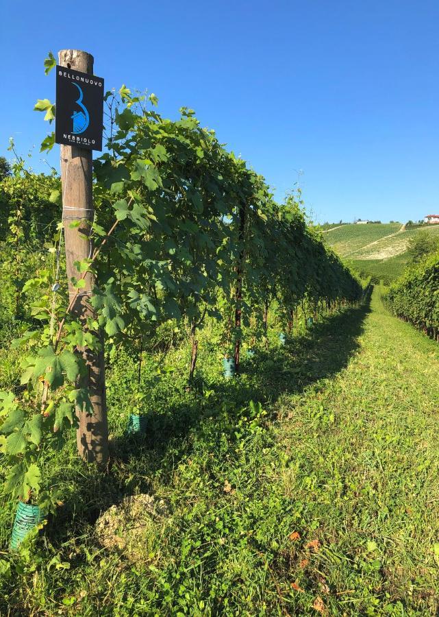 Cascina Bellonuovo Alba  Buitenkant foto